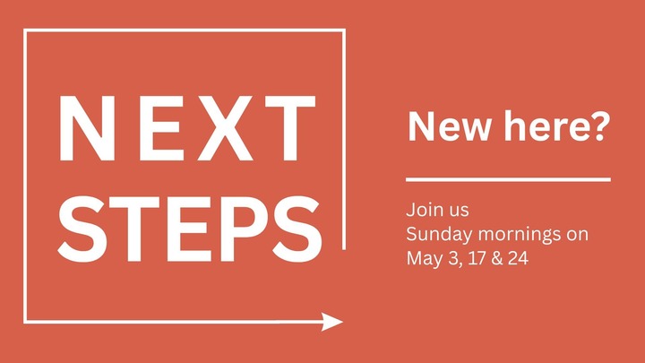 Next Steps logo