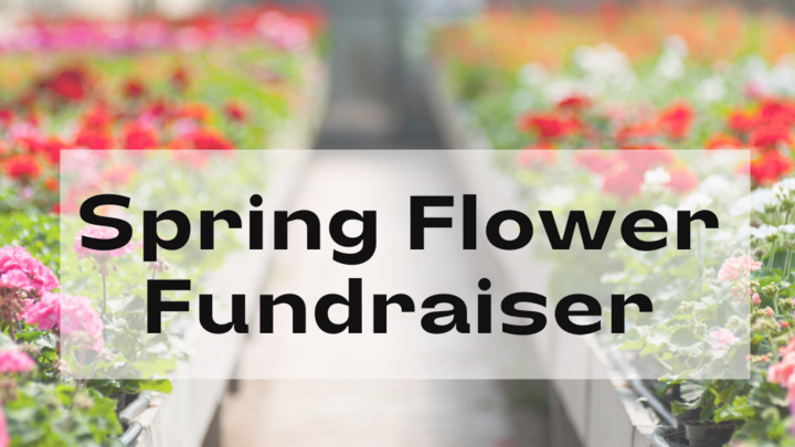 Preschool Spring Flower Sale - Scholarship Fundraiser logo