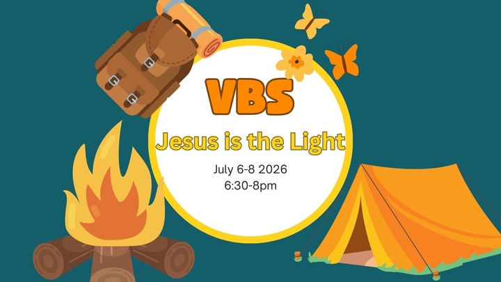 VBS logo