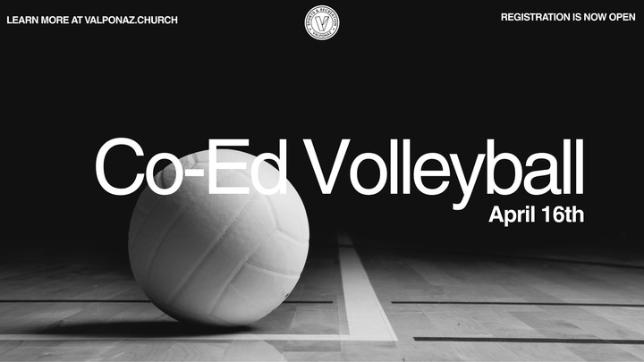 Co-Ed Volleyball logo