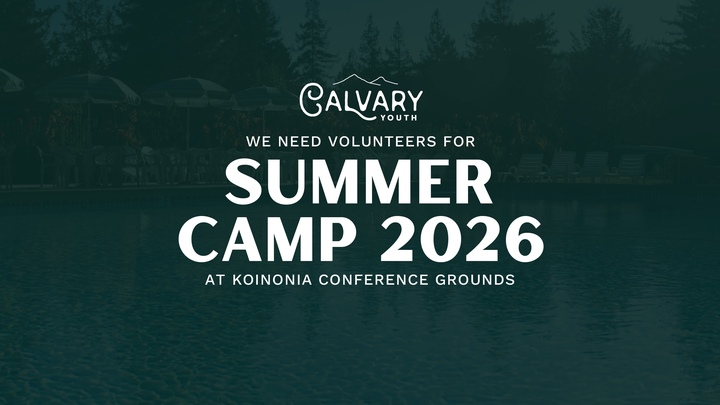 Volunteers Summer Camp logo