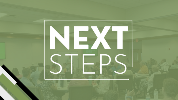 Next Steps - May 17 logo
