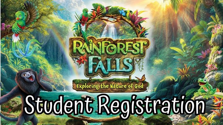 Rainforest Fall VBS logo