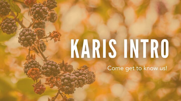 Karis Intro logo