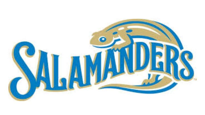 HS Salamanders Baseball Game logo