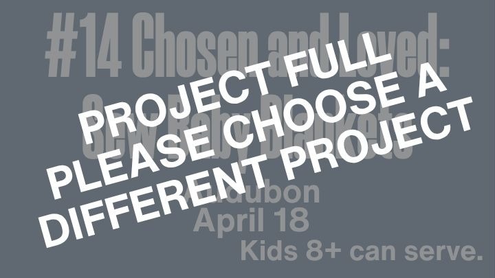 April 2026 BDOS #14  - Chosen and Loved: Sew Baby Blankets logo