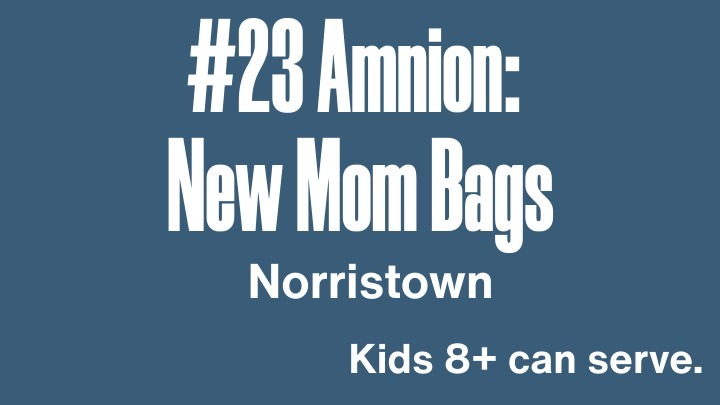 April 2026 BDOS #23 - Amnion: New Mom Bags logo