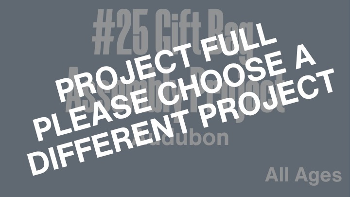 April 2026 BDOS #25  - Gift Bag Assembly Project logo
