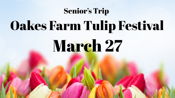 Tulip Festival Tour logo