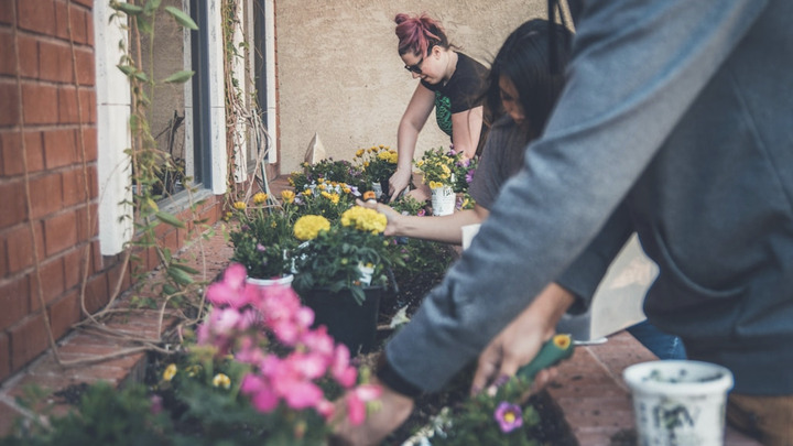 Handiwork Day: Planting Flowers at the Ministry Center logo