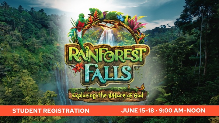 Rainforest Falls VBS | June 15-18 logo