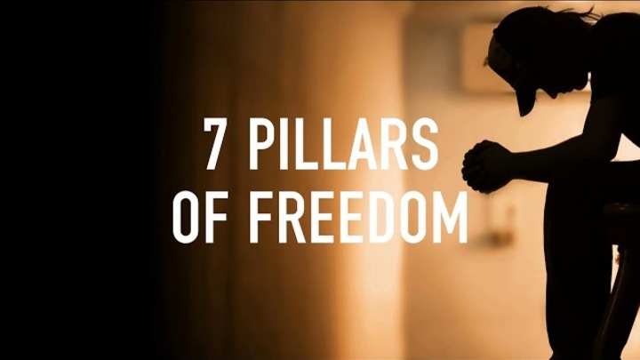 7 Pillars of Freedom logo