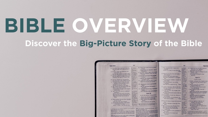 Bible Overview logo