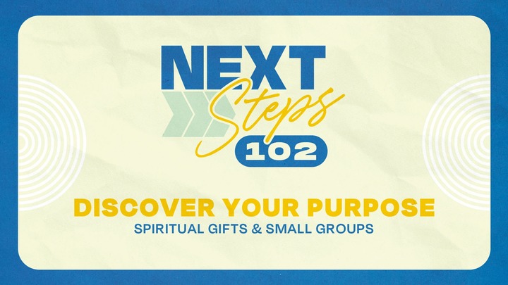 Next Steps 102 logo