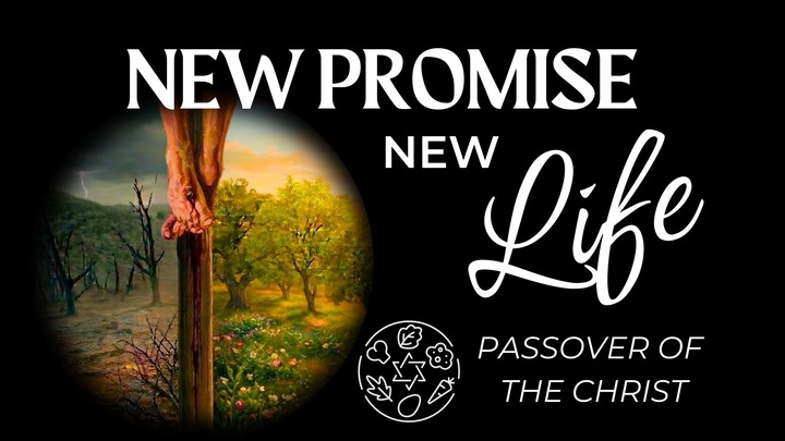 Passover Seder Meal & Pitch-IN logo