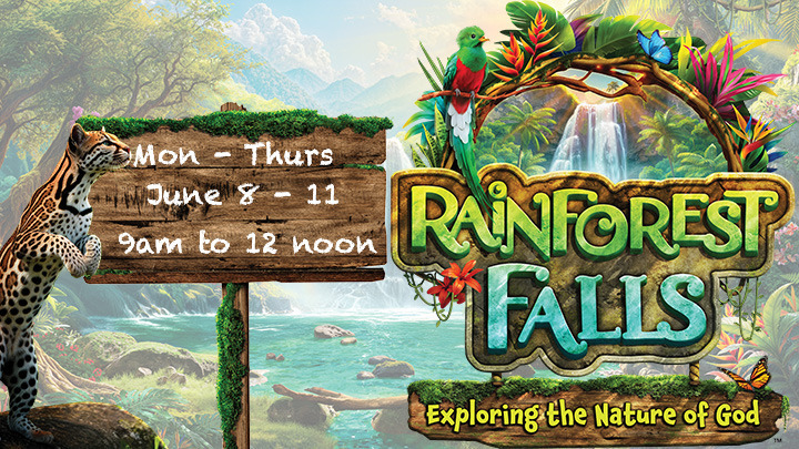 Rainforest Falls . . . VBS 2026 logo
