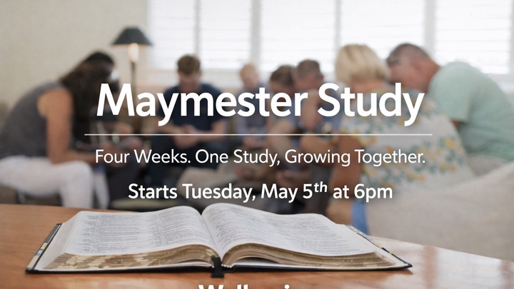 Maymester Study  logo
