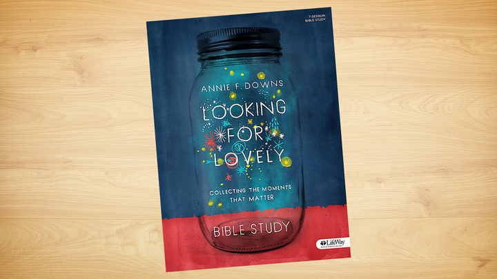 Looking for Lovely by Annie Downs logo image