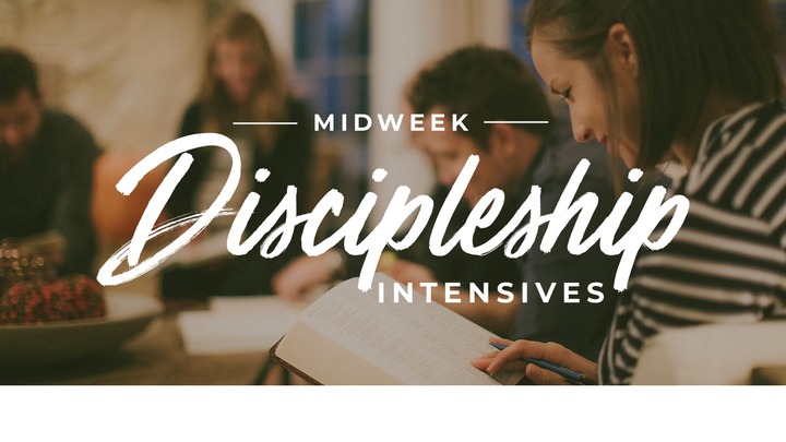 Discipleship Intensives (Spring-Session 2) logo