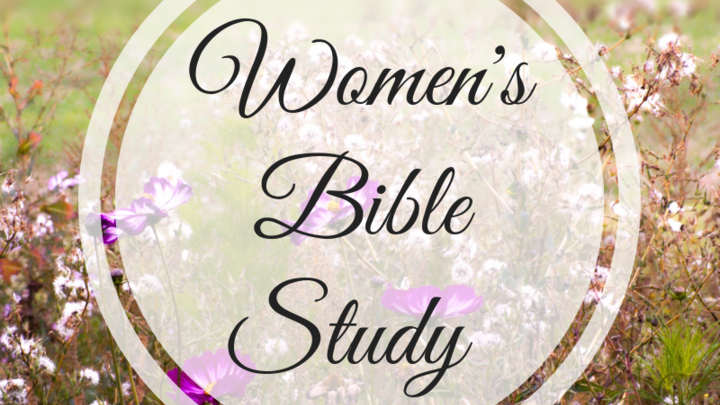 Wednesday Morning Women's Bible Study logo image