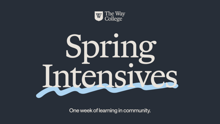 Spring Intensives Online logo