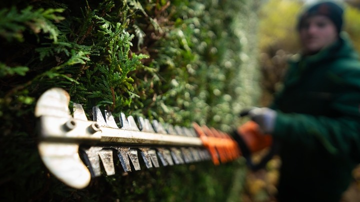 SCS School Beautification | Serve Week logo