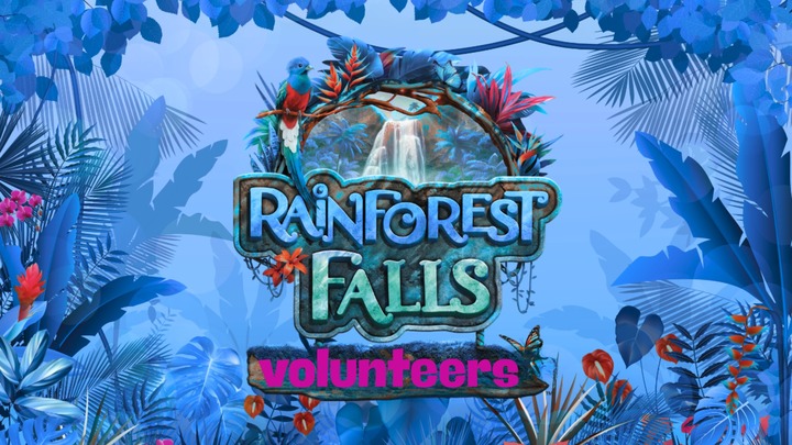 Volunteers for Kids Summer Camp logo