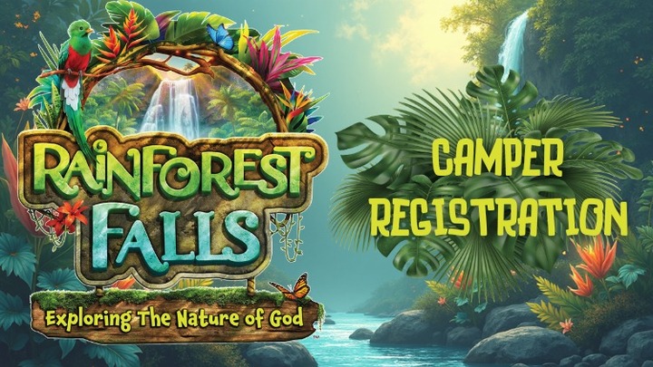 Rainforest Falls VBS 2026 Registration logo