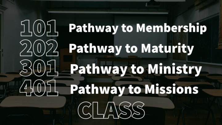 Class 101, 201, 301 & 401 logo