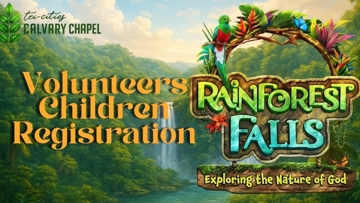 VBS 2026 0-4 Rainforest Falls logo