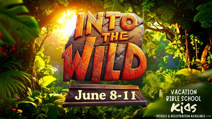 VBS - Into the Wilds logo
