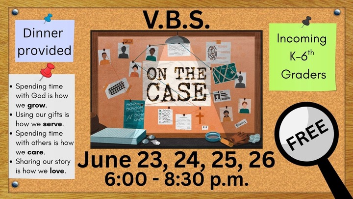 VBS logo