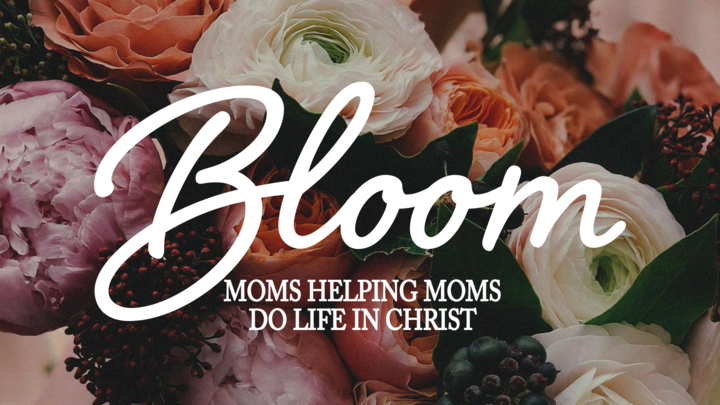 PIT | Bloom Mom's Night logo