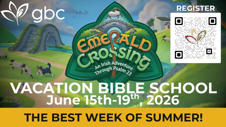 VBS 2026 logo