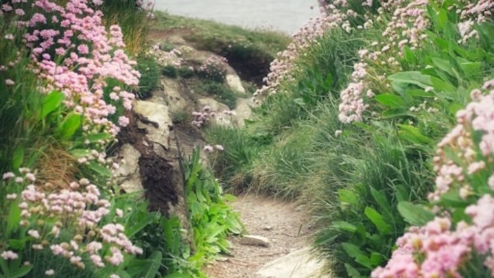 Path to Membership Class logo