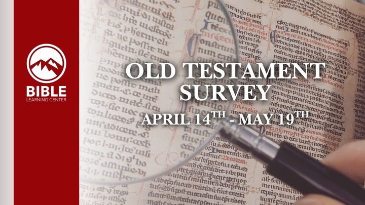 Bible Learning Center - Old Testament Survey  logo
