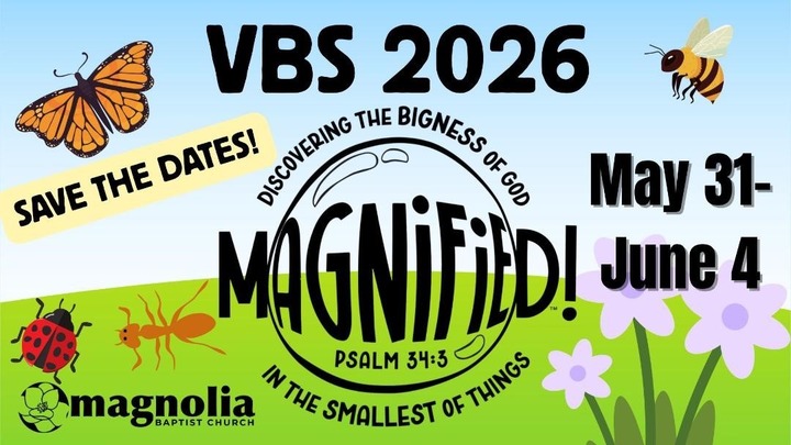 Magnified VBS logo