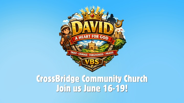 VBS logo