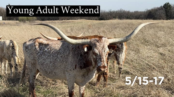Young Adult Weekend logo