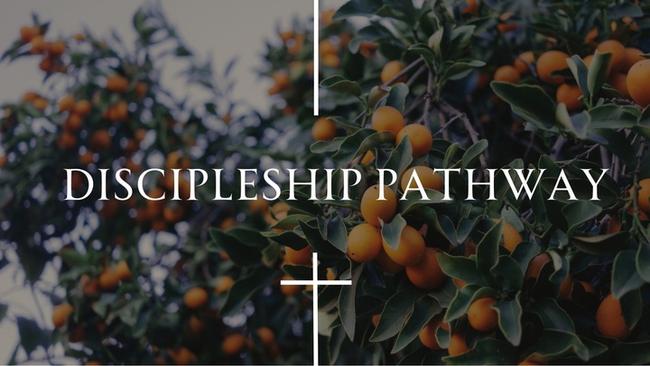Discipleship Pathway: Become Like Jesus logo