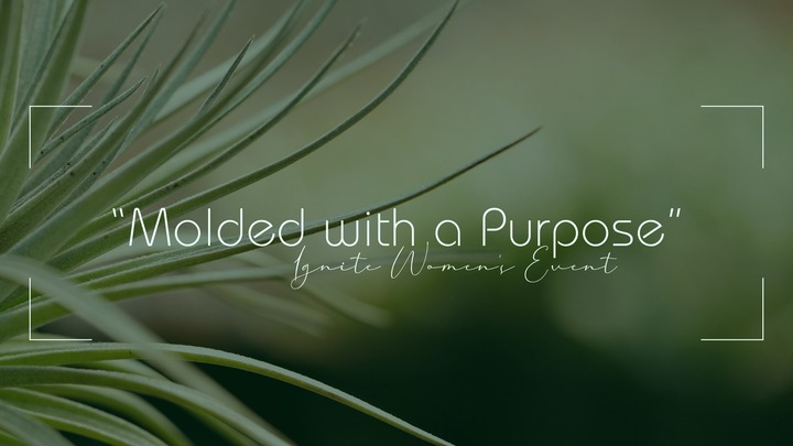 Ignite Women's Ministry Event logo