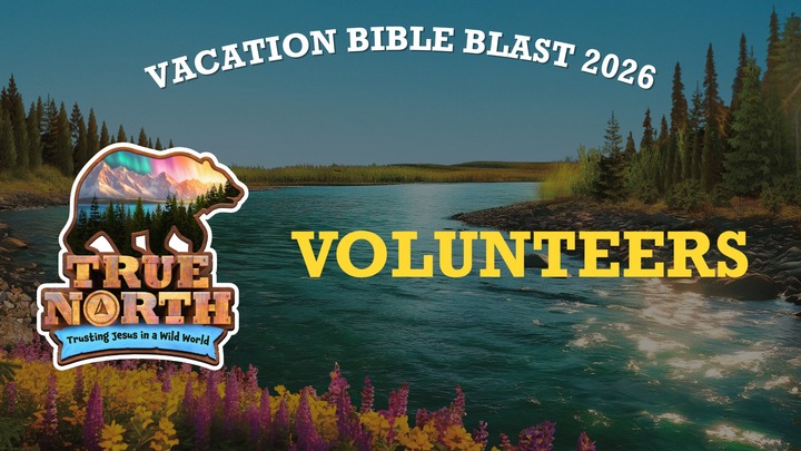 Volunteers VBB 2026: True North logo