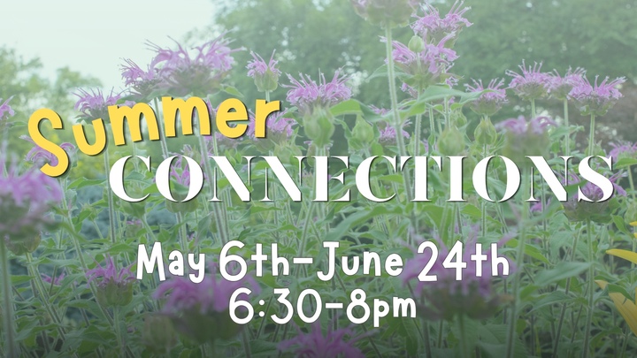 Summer Connections logo