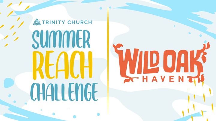 Summer Reach: Wild Oak Haven Family Fun Fest - FAMILY FRIENDLY logo