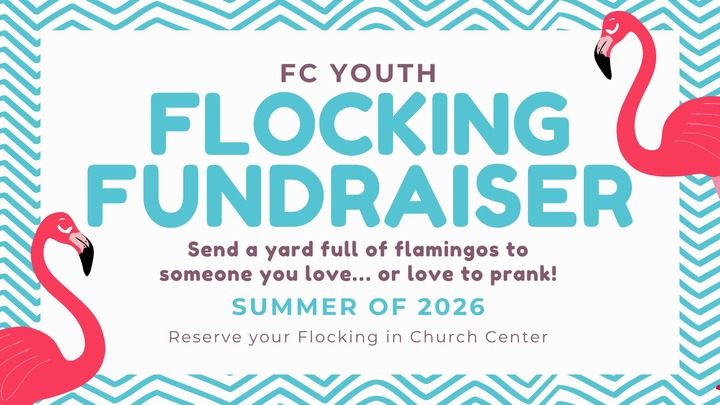 FC Youth Flamingo Flocking Fundraiser logo
