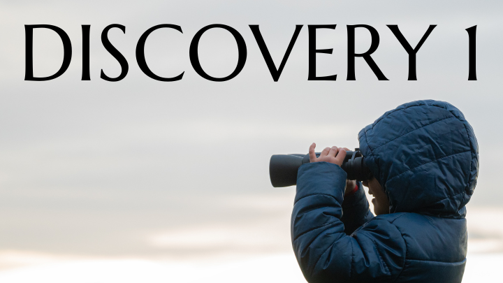 Discovery 1 logo