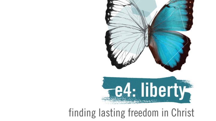 E4: Liberty (Randburg & Sandton) logo