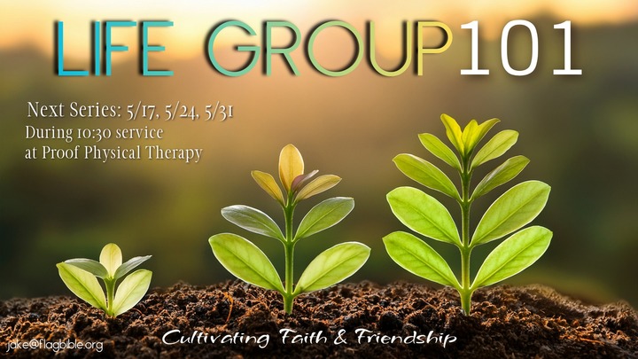 Life Group 101  logo