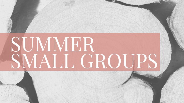 Women's Summer Small Groups | Spring Branch logo