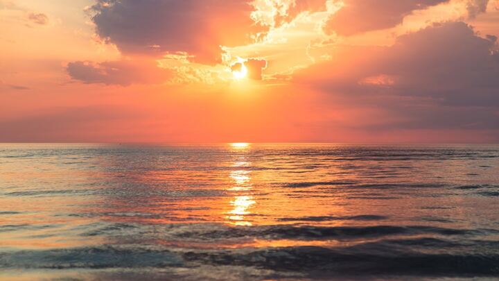 Marriage Night: Sunset Edition | Sarasota logo